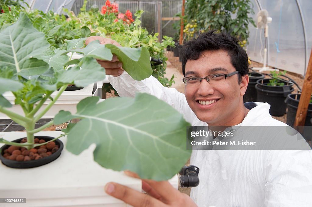Bio technician inspecting plant