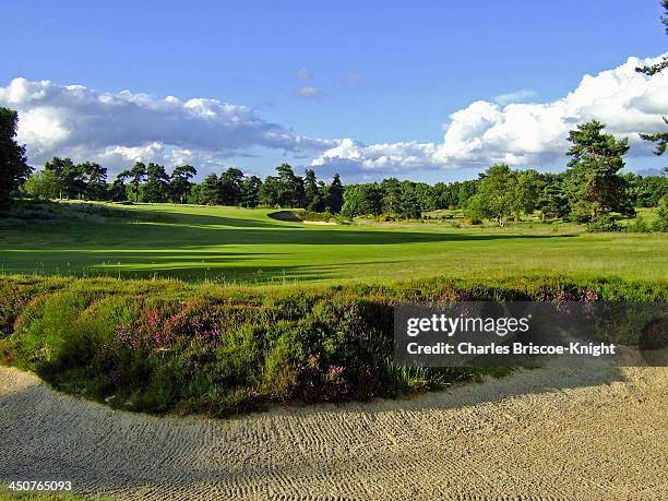 golf course landscape - surrey england stock-fotos und bilder