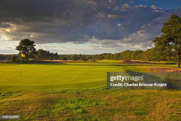 golf course - surrey england stock pictures, royalty-free photos & images