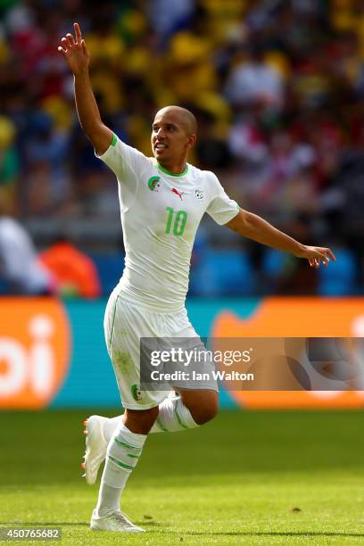 Sofiane Feghouli of Algeria celebrates scoring his team's first goal after a penalty kick during the 2014 FIFA World Cup Brazil Group H match between...