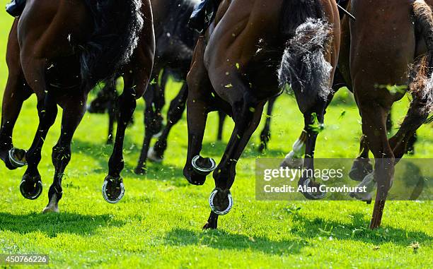 General view of horses hooves during day one of Royal Ascot at Ascot Racecourse on June 17, 2014 in Ascot, England.