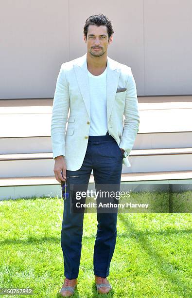 David Gandy attends the Burberry Prorsum show during the London Collections: Men SS15 on June 17, 2014 in London, England.