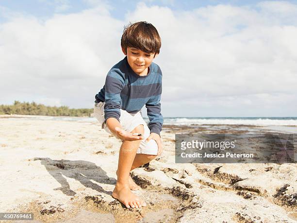 boy (10-11) playing on beach - boy exploring on beach stock-fotos und bilder