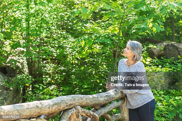 senior woman relaxing in park - leaning tree stock pictures, royalty-free photos & images