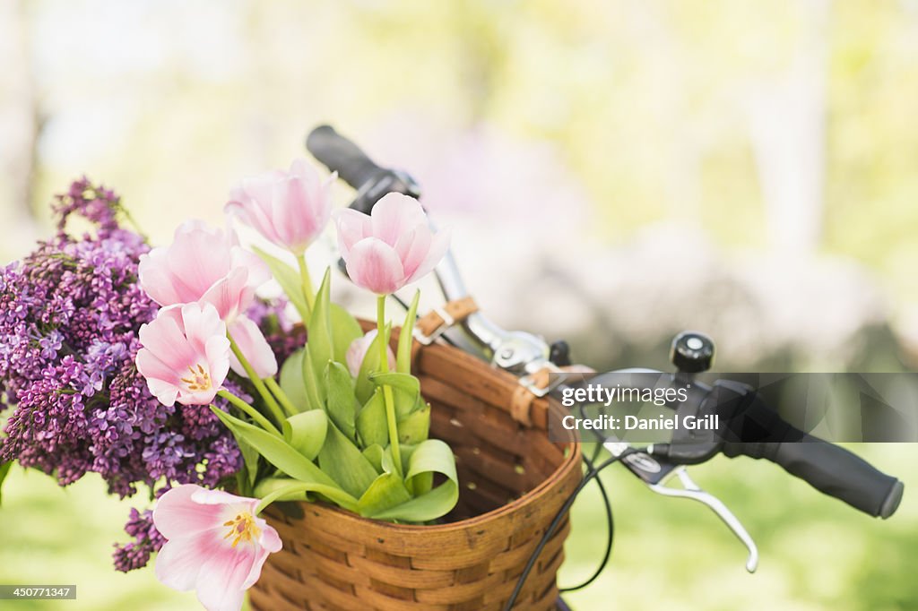 Close-up of flowers in basket