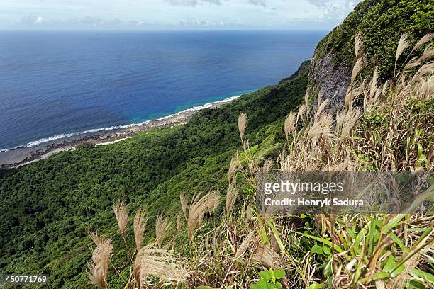 tonga, eua island, vegetation - eua stock-fotos und bilder