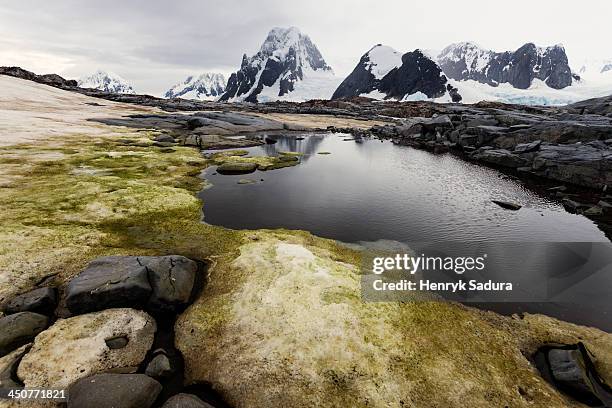 antarctica, antarctic peninsula, landscape - antarctica stock pictures, royalty-free photos & images