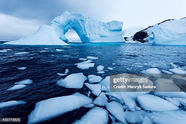 antarctica, antarctic peninsula, ice floe floating on water - packeis stock-fotos und bilder