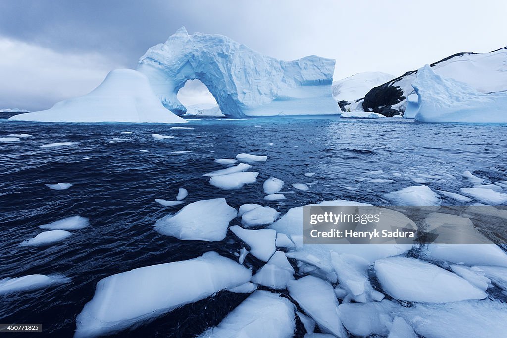 Antarctica, Antarctic Peninsula, Ice floe floating on water