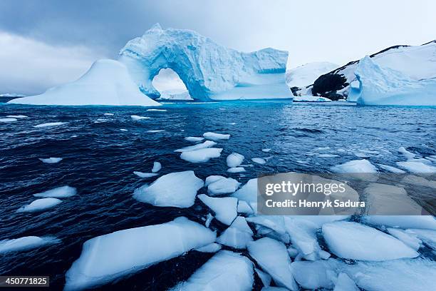 antarctica, antarctic peninsula, ice floe floating on water - antarctic peninsula stock pictures, royalty-free photos & images