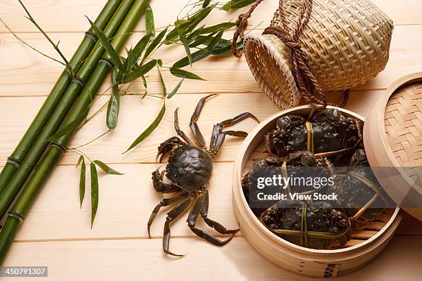 close-up of crabs - the crawling crab stock pictures, royalty-free photos & images