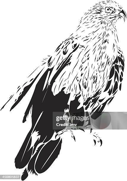 eagle illustration in black lines - golden eagle stock illustrations