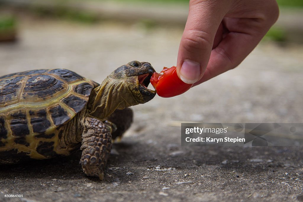 Snack time