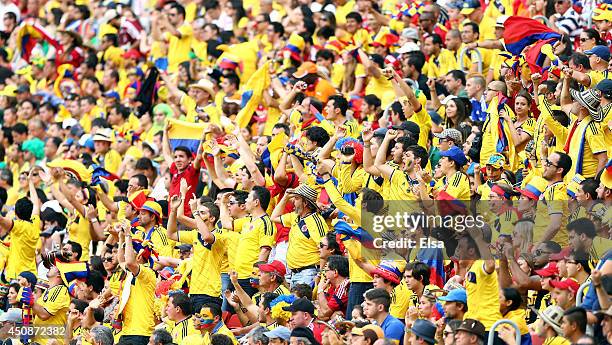 Colombia fans celebrate during the 2014 FIFA World Cup Brazil Group C match between Colombia and Cote D'Ivoire at Estadio Nacional on June 19, 2014...