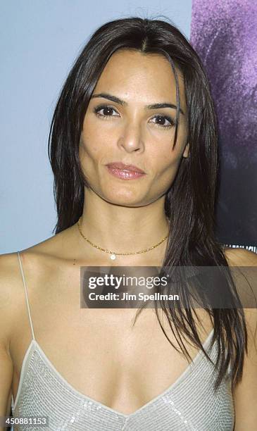 Talisa Soto during Pinero New York Premiere at Loews Village Theater in New York City, New York, United States.