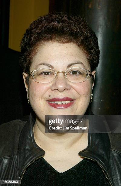 Phoebe Snow during Premiere screening of The Making & Meaning of We Are Family at The Screening Room in New York City, New York, United States.