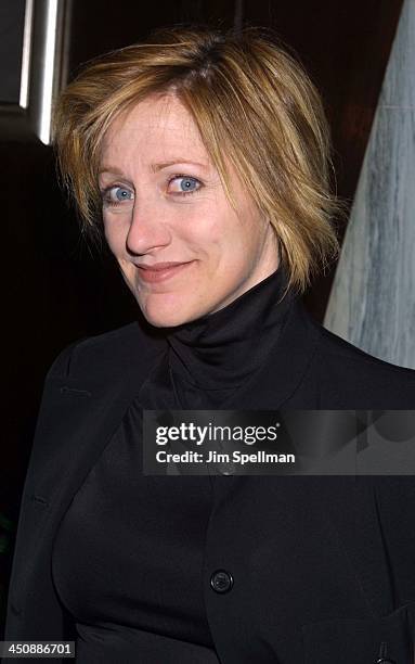 Edie Falco during The Cat's Meow New York City Premiere at Beekman Theater in New York City, New York, United States.