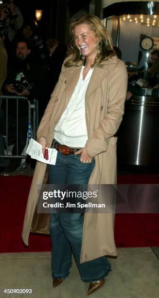 Amy Lemmons during The Hours New York City Premiere - Arrivals at The Paris Theater in New York City, New York, United States.