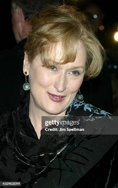 Meryl Streep during The Hours New York City Premiere - Arrivals at The Paris Theater in New York City, New York, United States.