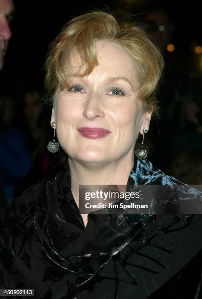 Meryl Streep during The Hours New York City Premiere - Arrivals at The Paris Theater in New York City, New York, United States.