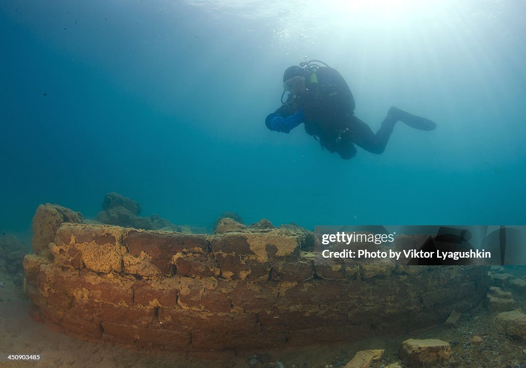 Diver