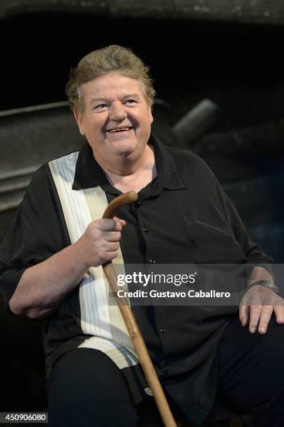 Robbie Coltrane is interviewed at The Wizarding World Of Harry Potter Diagon Alley at Universal Orlando on June 19, 2014 in Orlando, Florida.