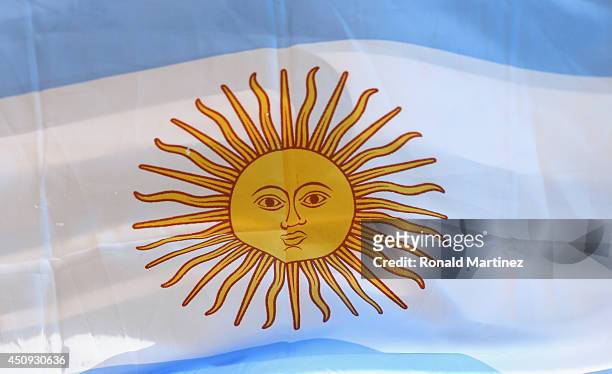 Detail of the flag of Argentina before a training session at Cidade do Galo on June 20, 2014 in Vespasiano, Brazil.