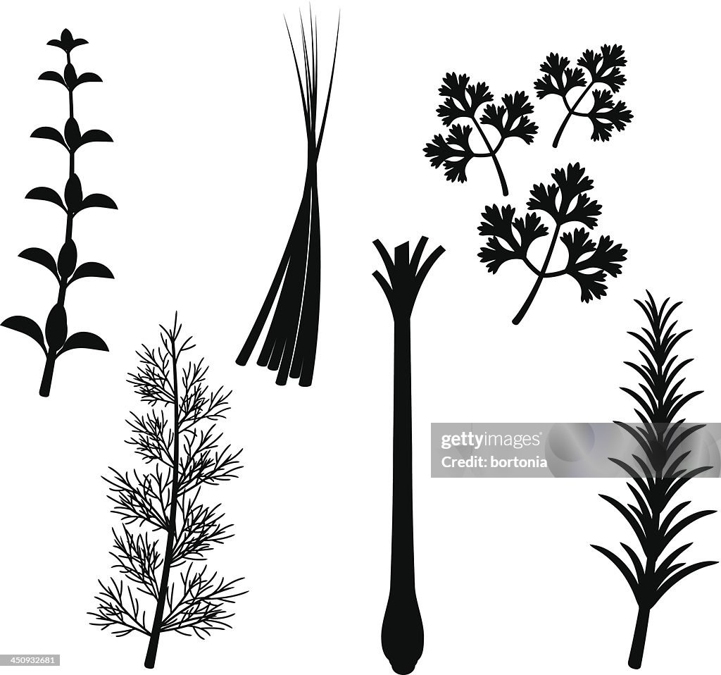 Herb Silhouette Set