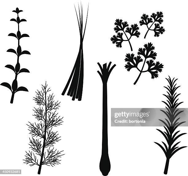 herb silhouette set - dill stock illustrations