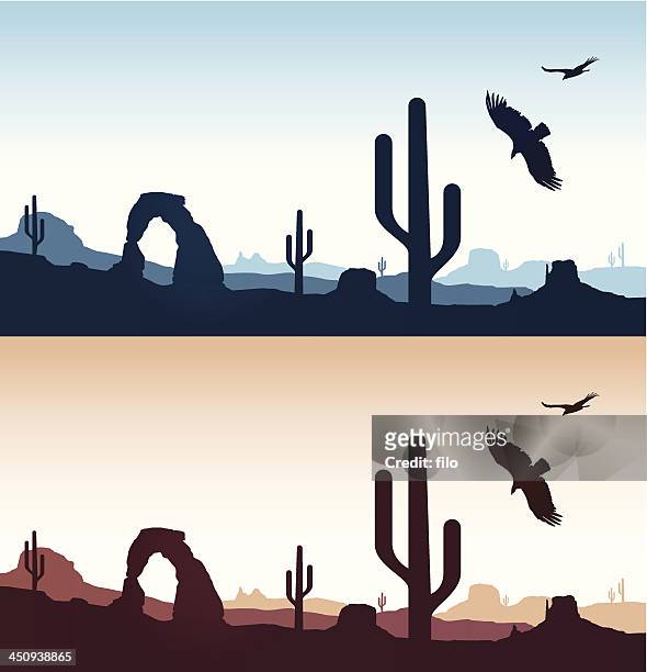 desert-landschaft - cactus vector stock-grafiken, -clipart, -cartoons und -symbole
