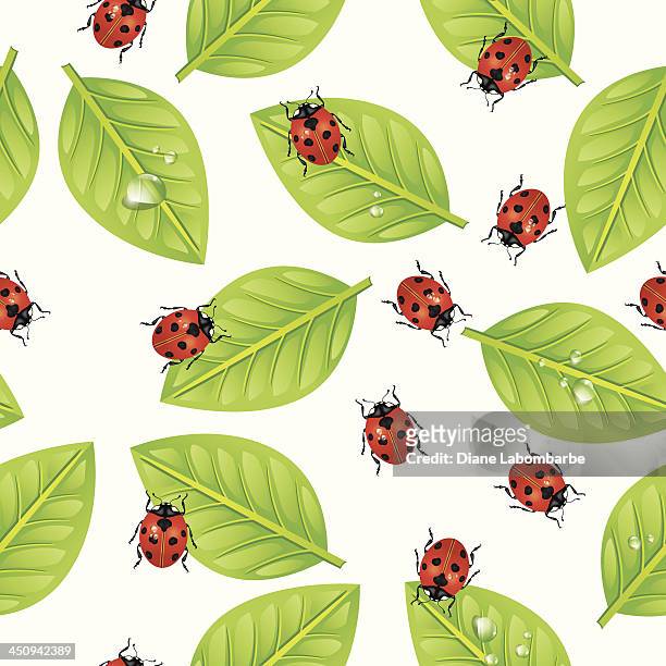 seamless ladybug leaf pattern - ladybug stock illustrations