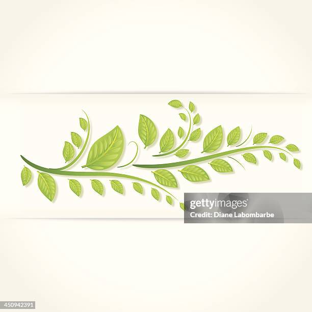 green leaves background - drop shadow vector stock illustrations