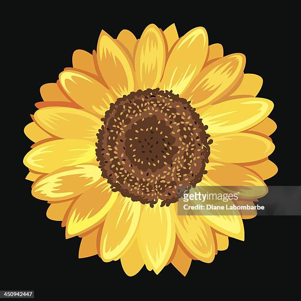 331 Sunflower Cartoon Photos and Premium High Res Pictures - Getty Images
