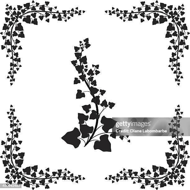 schwarze ivy vine silhouette - rankenpflanze stock-grafiken, -clipart, -cartoons und -symbole