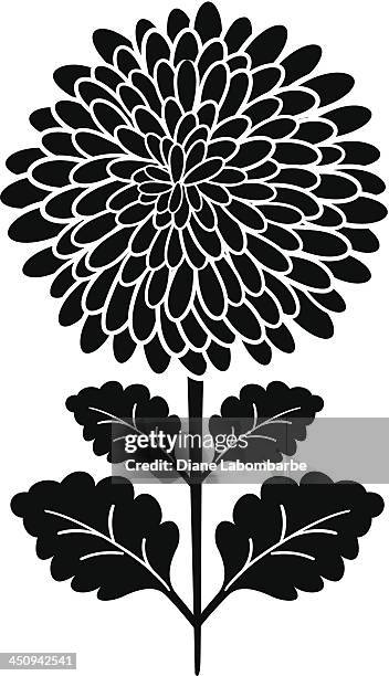 ilustrações de stock, clip art, desenhos animados e ícones de silhueta negra de flores de crisântemo - crisântemo