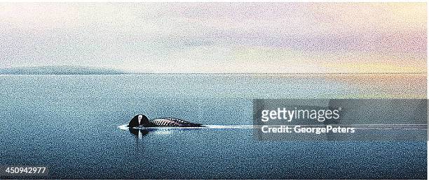 loon and lake superior - seen great lakes stock illustrations