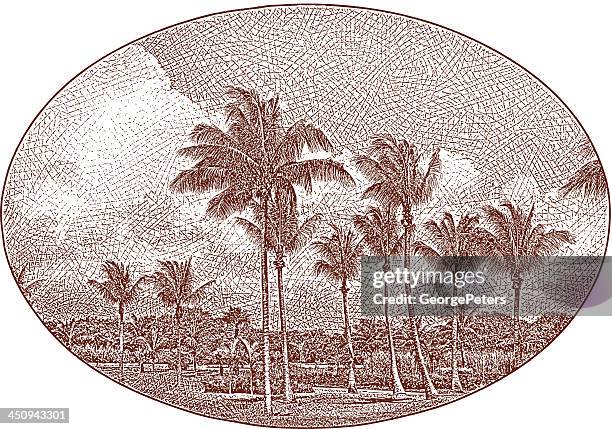vintage palm trees landscape - palm tree etching stock illustrations