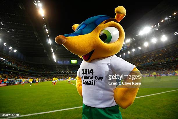 World Cup mascot Fuleco walks on the field prior to the 2014 FIFA World Cup Brazil Group E match between Honduras and Ecuador at Arena da Baixada on...