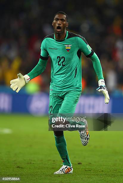 Alexander Dominguez of Ecuador reacts during the 2014 FIFA World Cup Brazil Group E match between Honduras and Ecuador at Arena da Baixada on June...