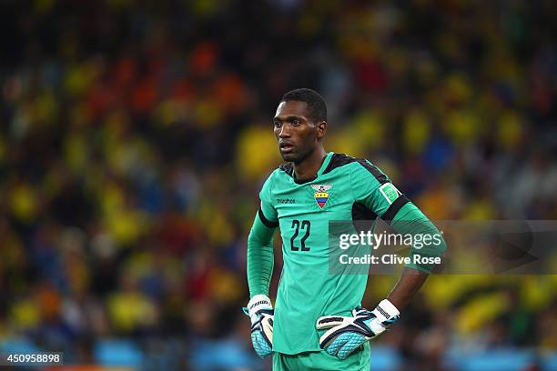 Alexander Dominguez of Ecuador looks on during the 2014 FIFA World Cup Brazil Group E match between Honduras and Ecuador at Arena da Baixada on June...