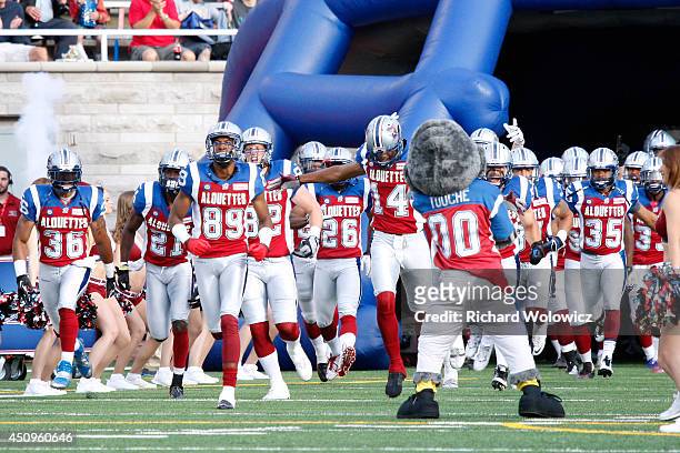 Members of the Montreal Alouettes take to the field prior to facing the Ottawa Redblacks in their CFL game at Percival Molson Stadium on June 20,...