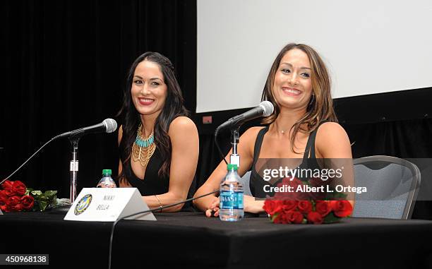 Divas Brie Bella and Nikki Bella of The Bella Twins attend Wizard World Philadelphia Comic Con 2014 Day 2 held at Pennsylvania Convention Center on...