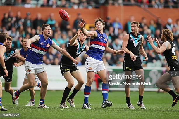Will Minson of the Bulldogs wins the ball in the ruck during the round 14 AFL match between the Port Adelaide Power and the Western Bulldogs at...
