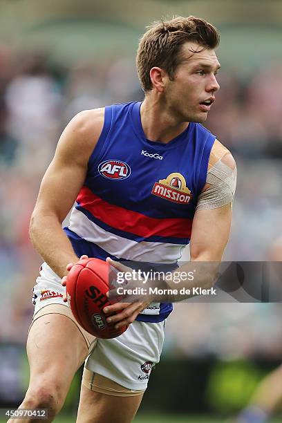 Shaun Higgins of the Bulldogs runs with the ball during the round 14 AFL match between the Port Adelaide Power and the Western Bulldogs at Adelaide...