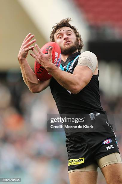 Sam Gray of the Power takes a mark during the round 14 AFL match between the Port Adelaide Power and the Western Bulldogs at Adelaide Oval on June...