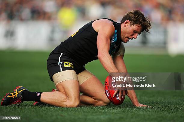 Brad Ebert of the Power wins the ball during the round 14 AFL match between the Port Adelaide Power and the Western Bulldogs at Adelaide Oval on June...