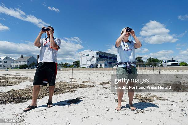 Intern Garrett Van Wie and wildlife ecologist with Maine Audubon Laura Minich Zitzke watch a piping plover in Old Orchard Beach Friday, June 20, 2014.