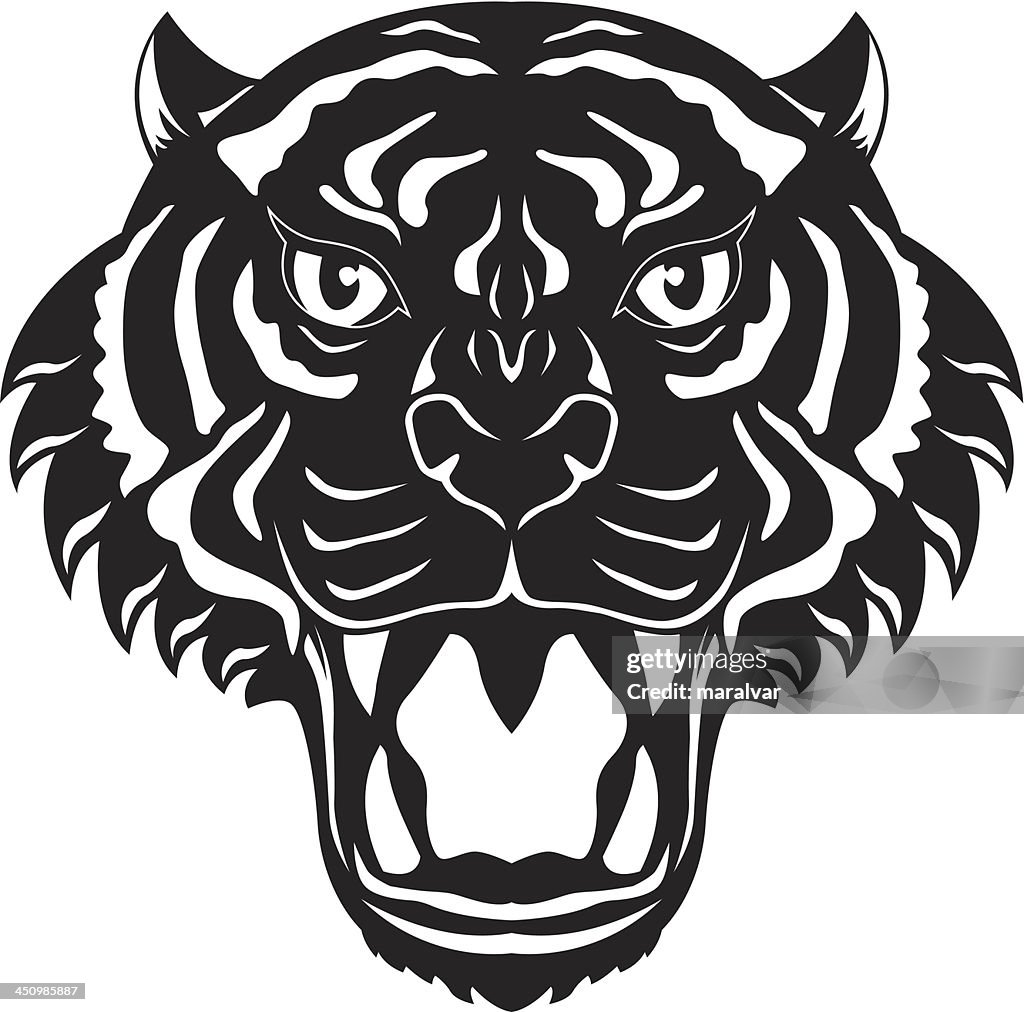 Tiger head