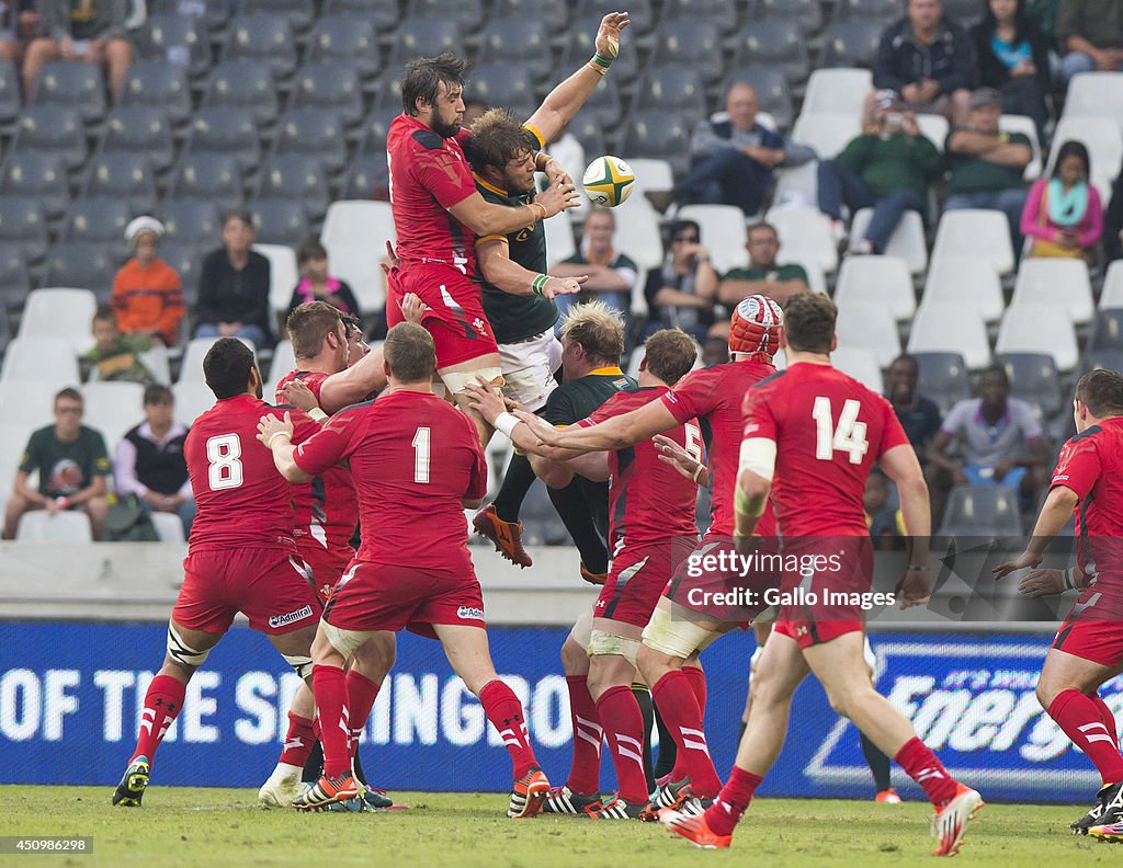 South Africa v Wales