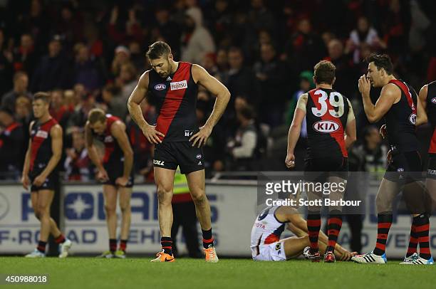 Bombers players react after winning the round 14 AFL match between the Essendon Bombers and the Adelaide Crows at Etihad Stadium on June 21, 2014 in...
